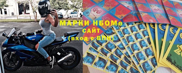 индика Мегион