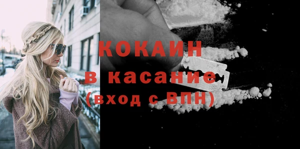 индика Мегион