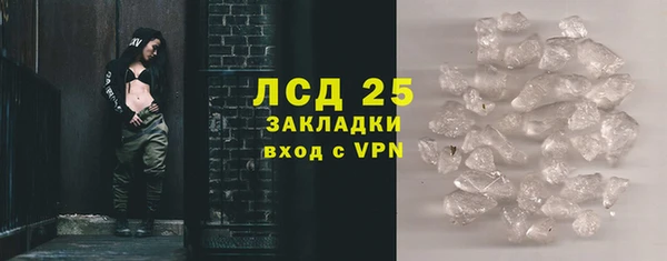 индика Мегион