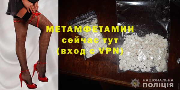 индика Мегион
