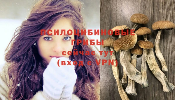 индика Мегион