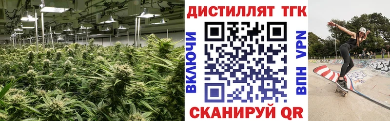 Дистиллят ТГК вейп  Купить где  Луховицы 