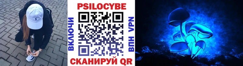 Купить  Луховицы  Псилоцибиновые грибы Psilocybe 